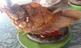 Pecel Lele Pak Jo
