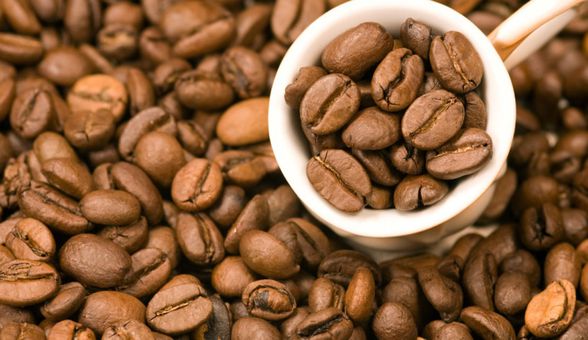 Sejarah Kopi Gayo, Kopi Asli Indonesia yang Mendunia