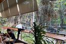 Foto Makanan di Monolog