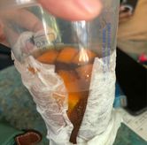 Foto Kopi Jeruk Daur Baur di Kopi Nako Daur Baur