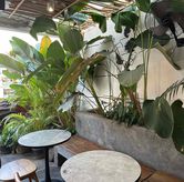 Foto di ATAS Drinks n Bites