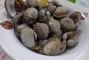 Foto Lautan Seafood 8