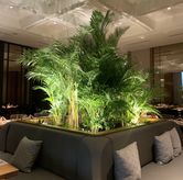 Foto di Kayu Manis - Hotel Tentrem