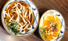 Marugame Udon