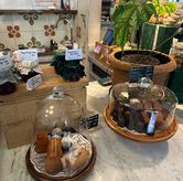 Foto di Chicory European Patisserie