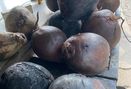 Foto Makanan di Kedai Kelapa Bakar Rempah Tumenggung Aryo