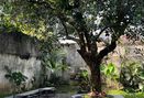 Foto Makanan di Seanan Coffee Roasters