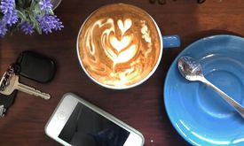 Dancing Goat Coffee Co.