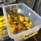 Foto di Ayam Gepuk Kedoya