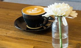 Scandinavian Coffee Shop