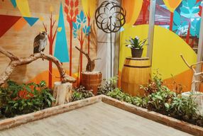 Foto Barn Owl Cafe