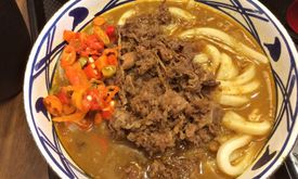 Marugame Udon