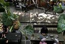 Foto Makanan di Hakon Ethnic