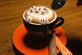 Foto Mokka Coffee Cabana