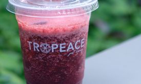 Tropeace