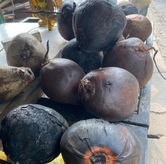 Foto di Kedai Kelapa Bakar Rempah Tumenggung Aryo