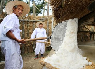 7 Bahan Masakan Khas Korea Ini Sudah Hampir Punah