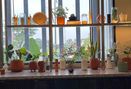 Foto Interior di Mainstreet Dining & Coffee