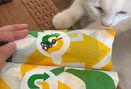 Foto Makanan di Subway