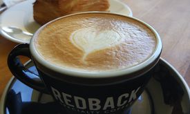 Redback Specialty Coffee